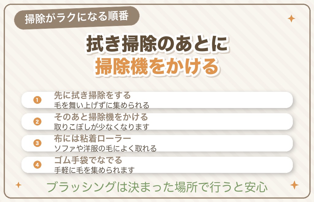 マルチーズの抜け毛の掃除のコツ