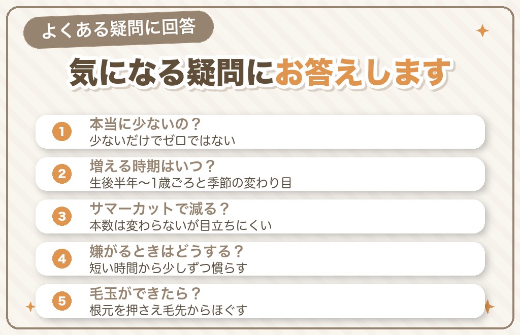 マルチーズの抜け毛に関するQ&A