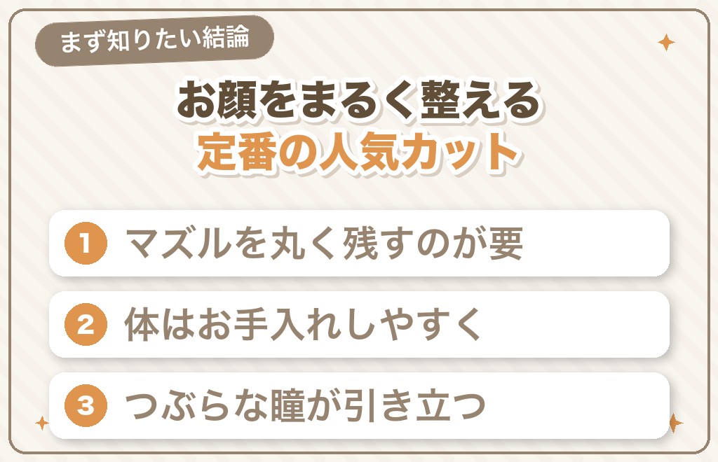 マルチーズのテディベアカットとは?まず知りたい結論