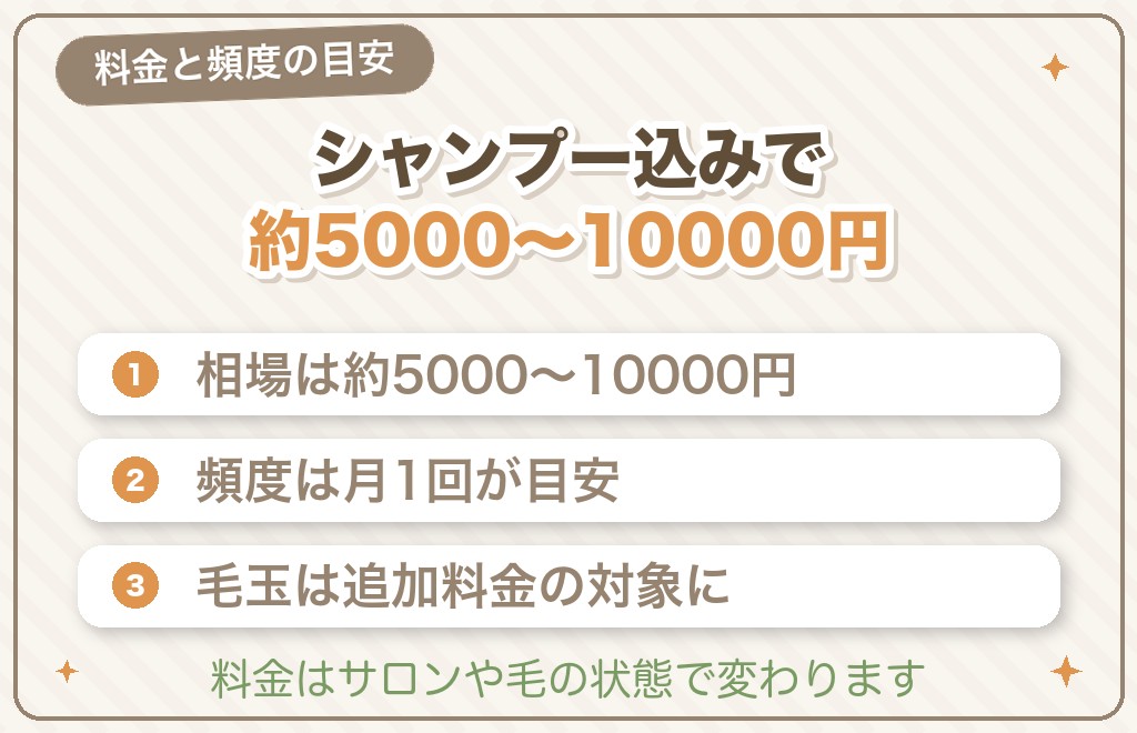 テディベアカットの料金・頻度・いつからの目安