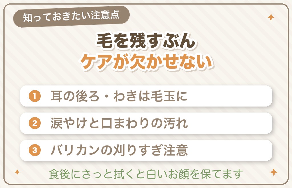 マルチーズのテディベアカットの注意点