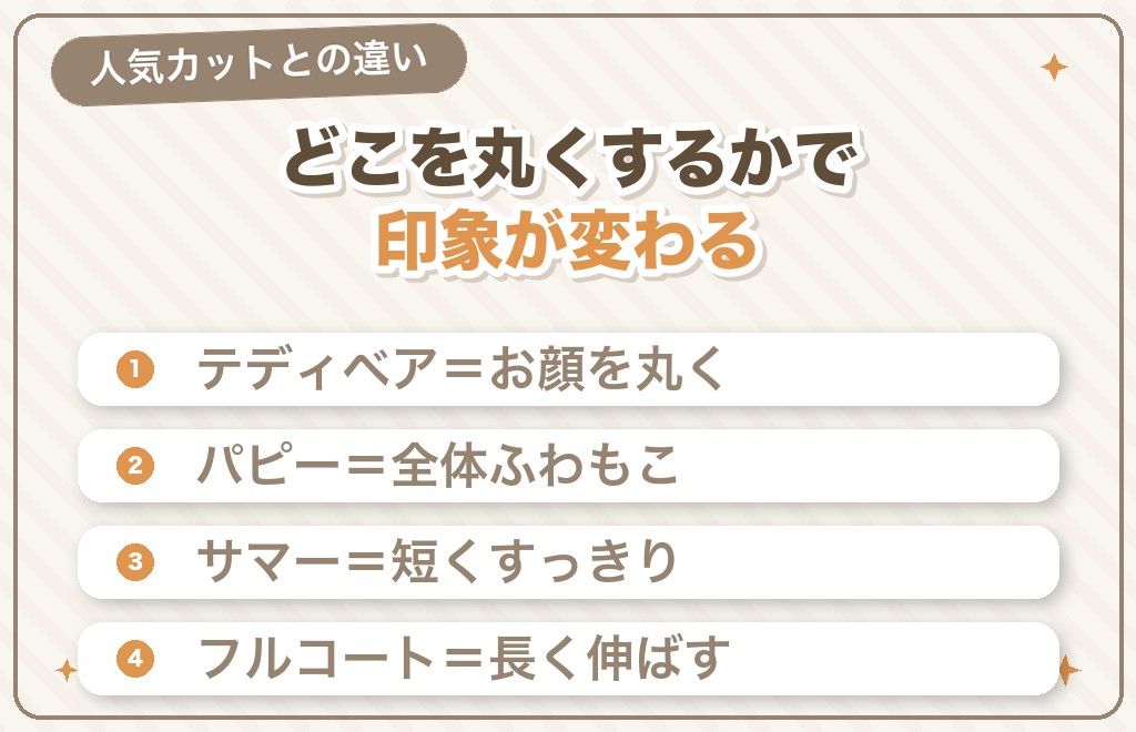 テディベアカットとほかの人気カットの違い