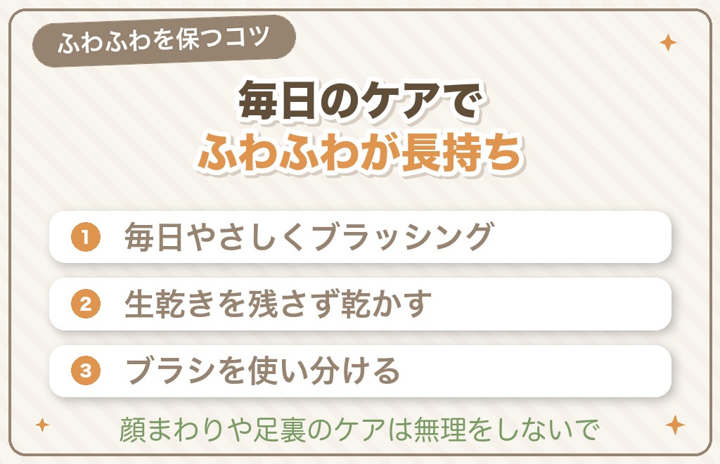 カット後の自宅お手入れとふわふわを保つコツ