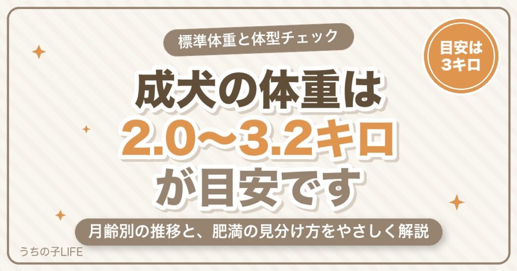 マルチーズの体重は何キロが標準？平均・月齢別の推移と肥満の見分け方