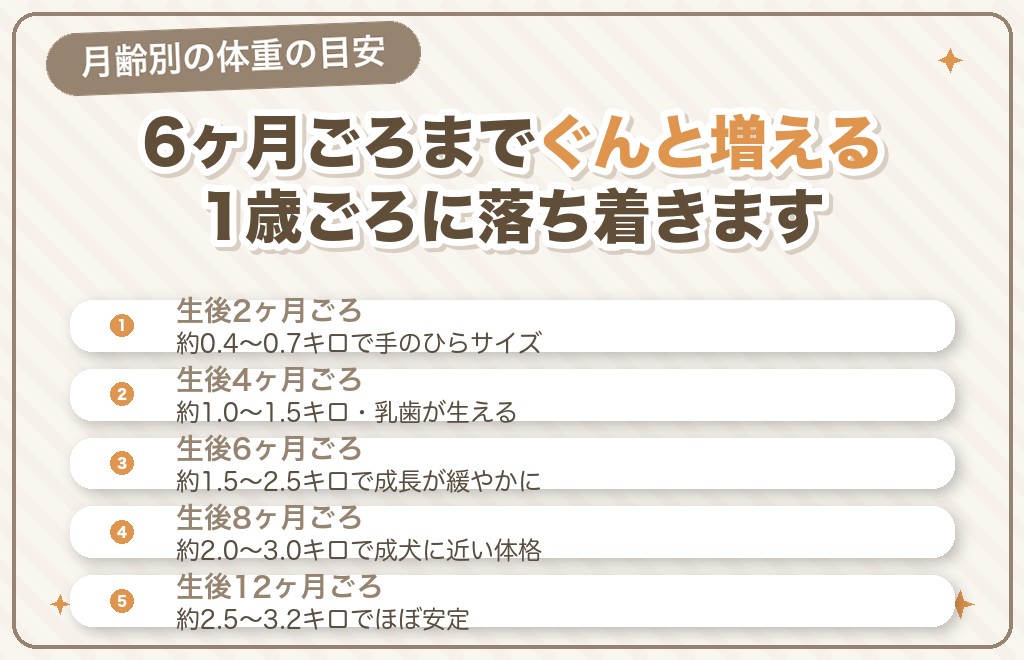 マルチーズの月齢別・体重推移の目安