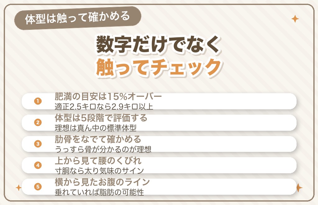 うちの子は太ってる？マルチーズの体重・体型の見分け方