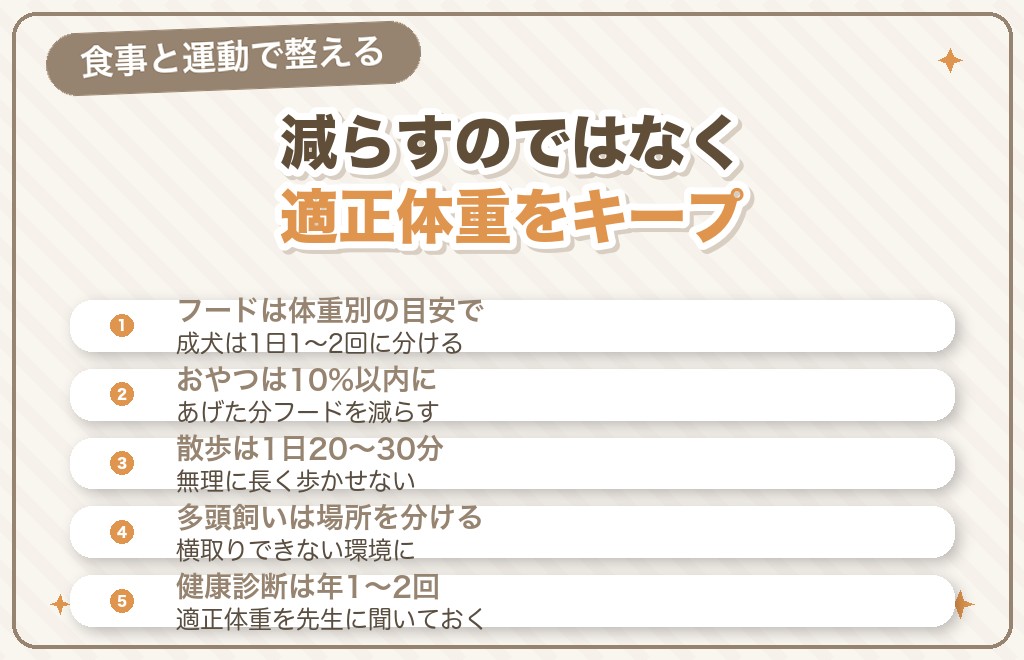 マルチーズの体重管理の方法（食事・運動）