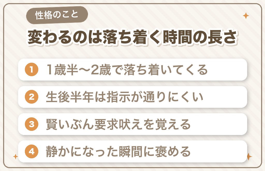 マルプーの成犬は性格も変わる?