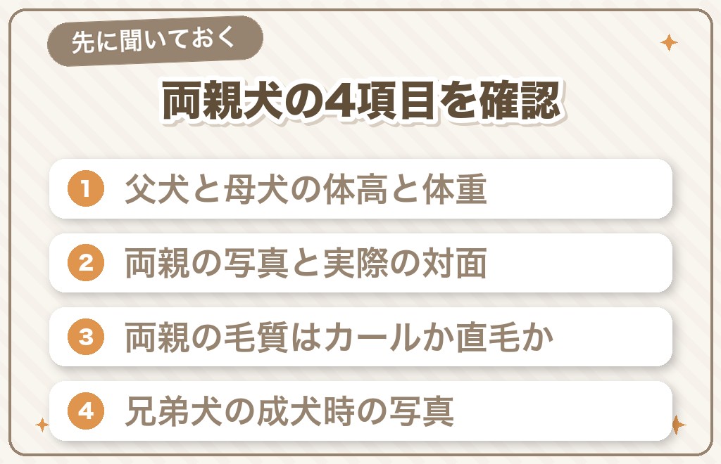 マルプーを迎える前に確認したいこと