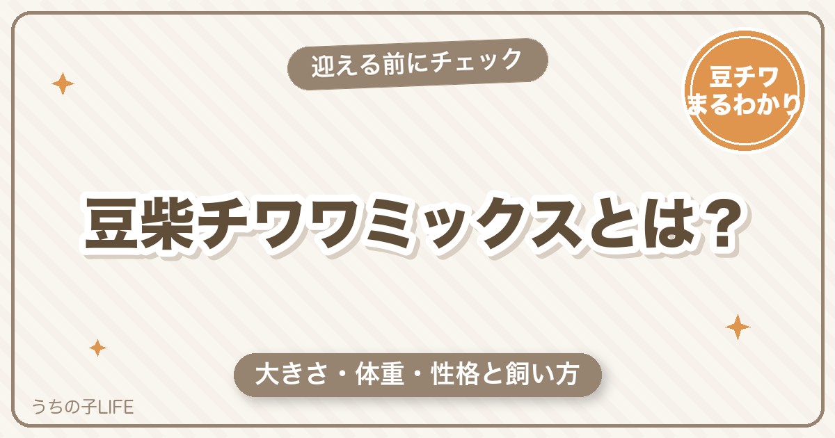 豆柴チワワミックス（豆チワ）とは？大きさ・体重・性格と飼い方を解説