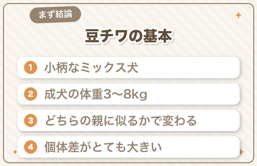豆柴とチワワのミックスとは?まず結論