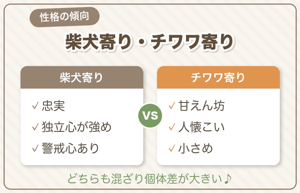 豆柴チワワミックスの性格の傾向