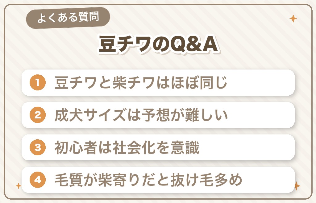 豆柴チワワミックスに関するQ&A
