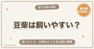 豆柴の飼いやすさは？初心者でも大丈夫か大変なところまで解説
