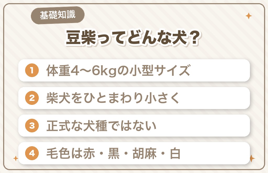 豆柴ってどんな犬？柴犬との違いと基礎知識