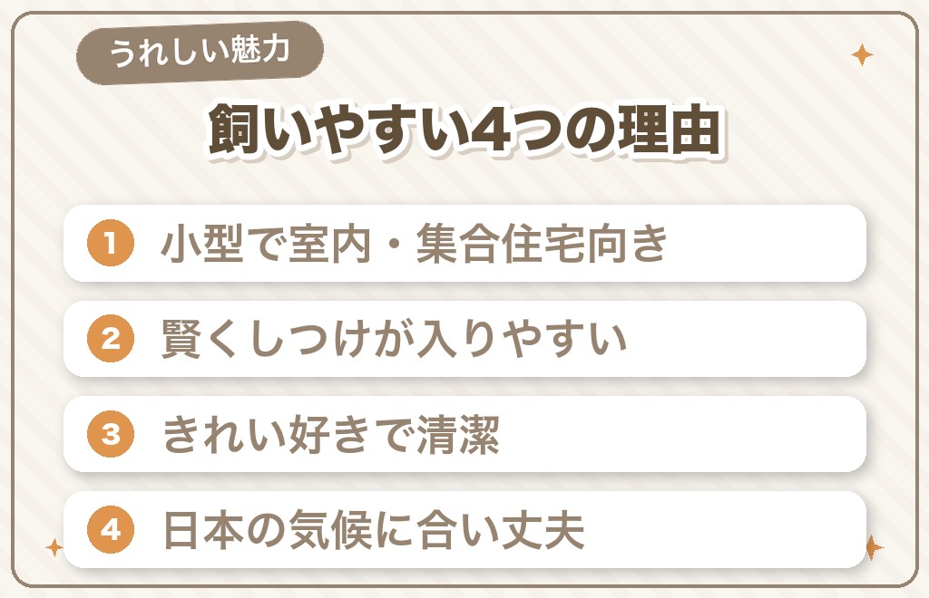 豆柴が「飼いやすい」と言われる理由