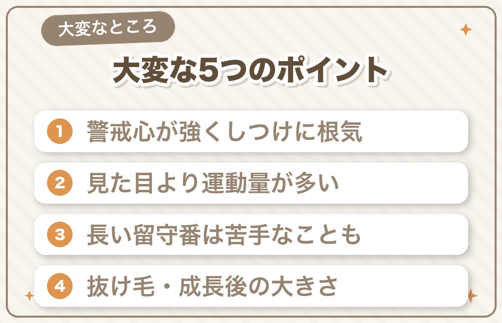 豆柴の「飼いにくい・大変」なところ