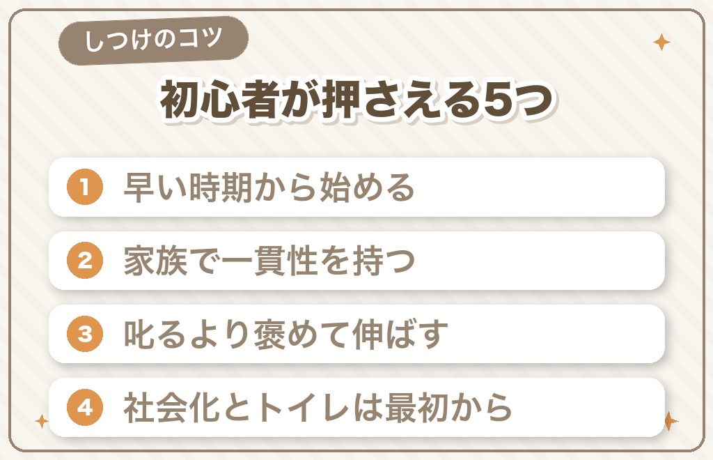 豆柴のしつけのコツ（初心者が押さえる5つ）