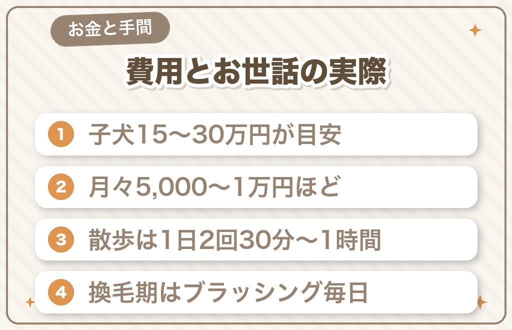 豆柴と暮らす費用とお世話の実際