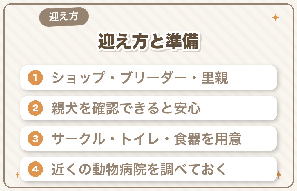 豆柴の迎え方と迎える前の準備