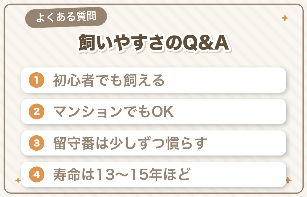 豆柴の飼いやすさに関するQ&A