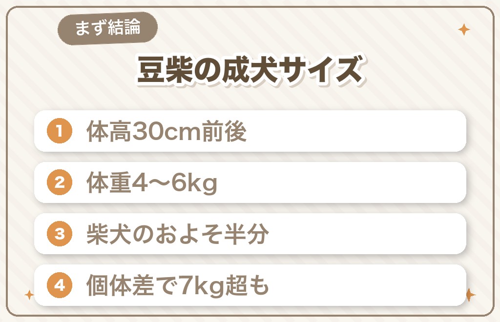 豆柴のサイズはどれくらい？まず結論