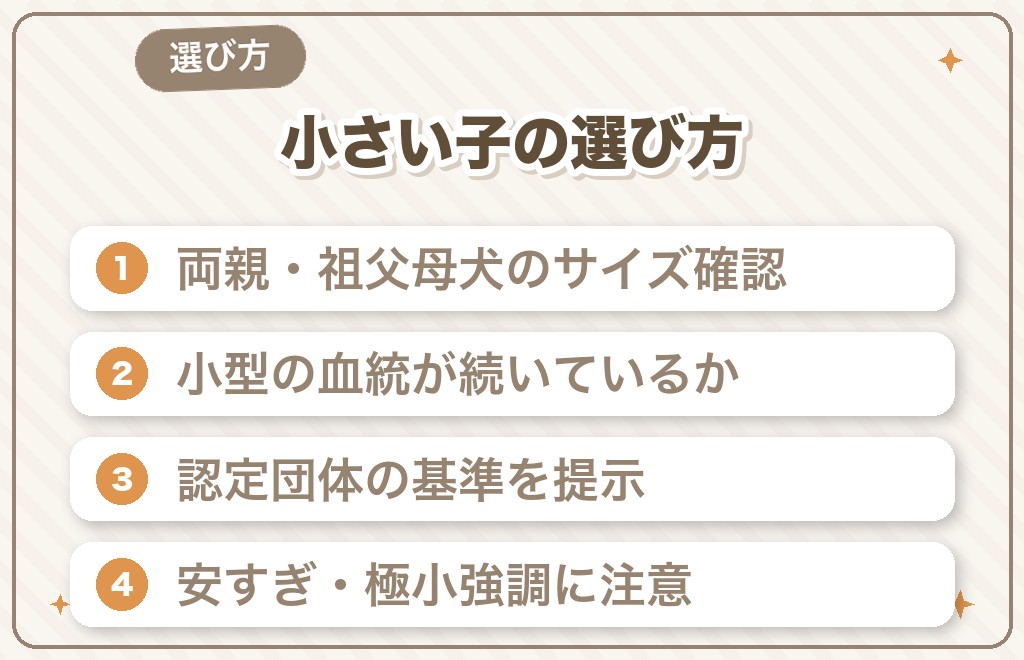大きくなりにくい豆柴の選び方・見分け方