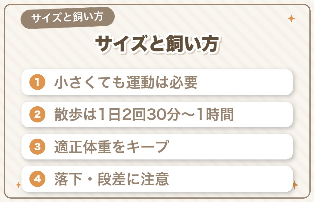 豆柴のサイズと飼い方のポイント