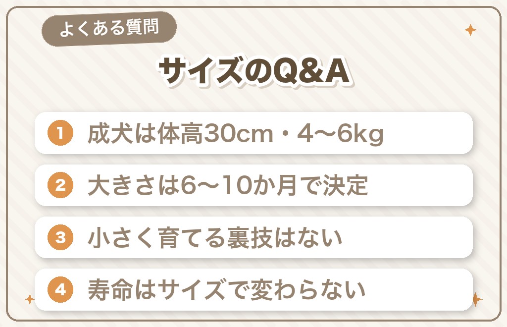 豆柴のサイズに関するQ&A