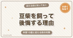 【本音10選】豆柴を飼って後悔する理由と迎える前の対策