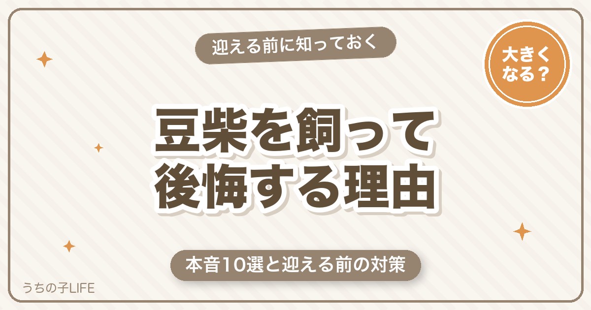【本音10選】豆柴を飼って後悔する理由と迎える前の対策