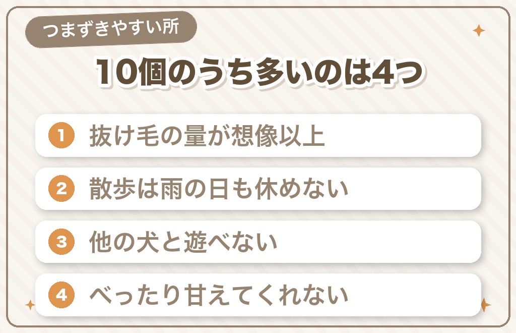 豆柴を飼って後悔した理由10選