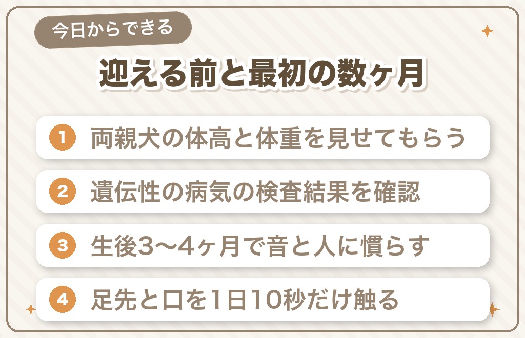 豆柴を飼って後悔しないための対策