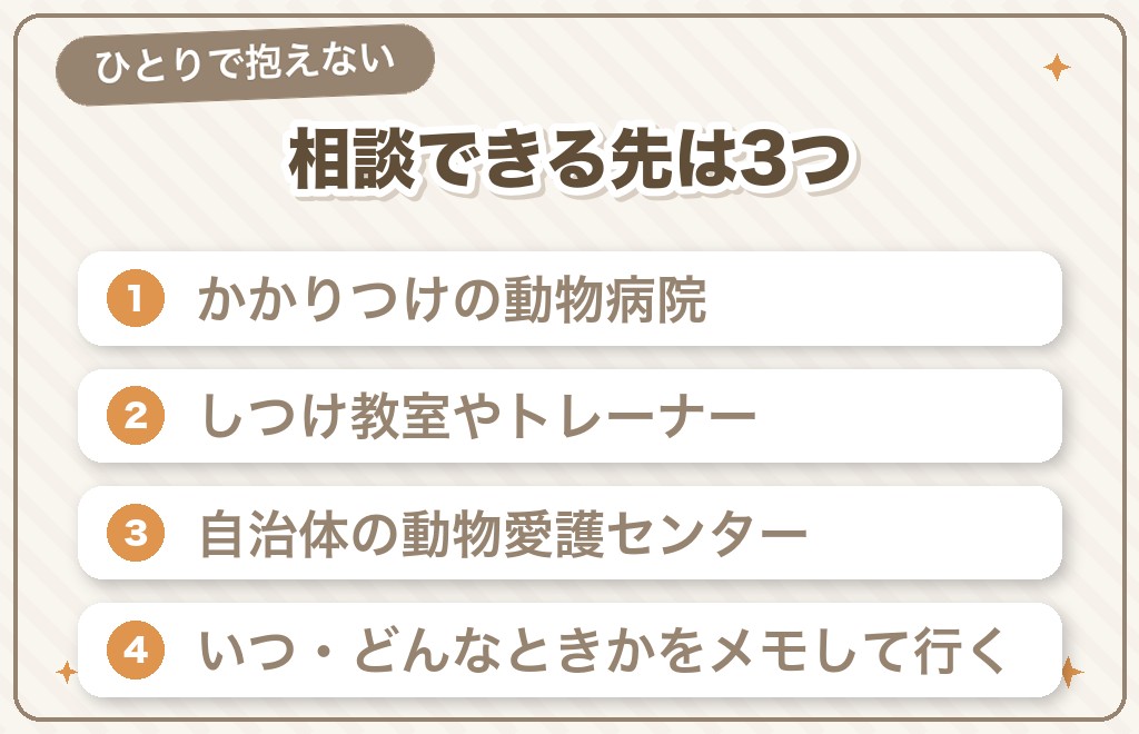 豆柴を「手放したい」と思ってしまったときは