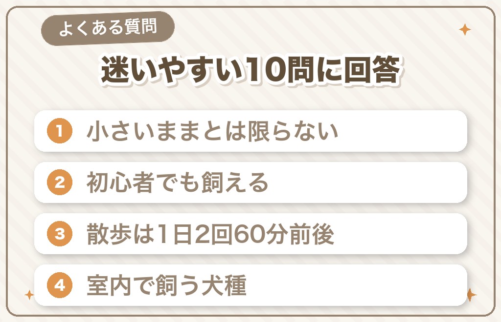 豆柴の後悔に関するQ&A