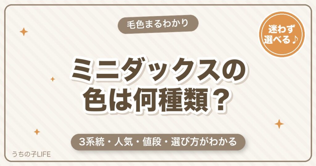 ミニチュアダックスの色は何種類？人気の毛色・値段の違いと選び方