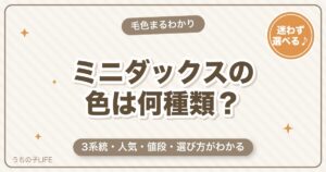 ミニチュアダックスの色は何種類？人気の毛色・値段の違いと選び方