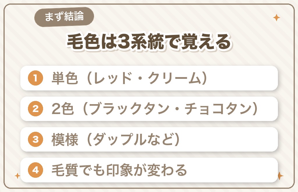 ミニチュアダックスの色は何種類?まずは結論から