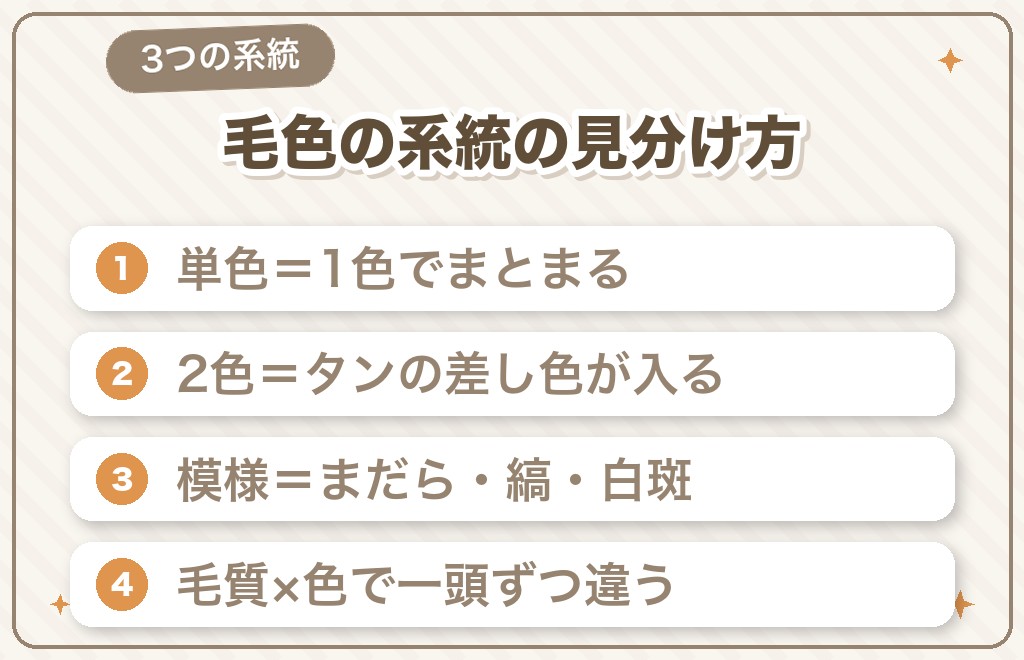 ミニチュアダックスの毛色は3つの系統で覚える