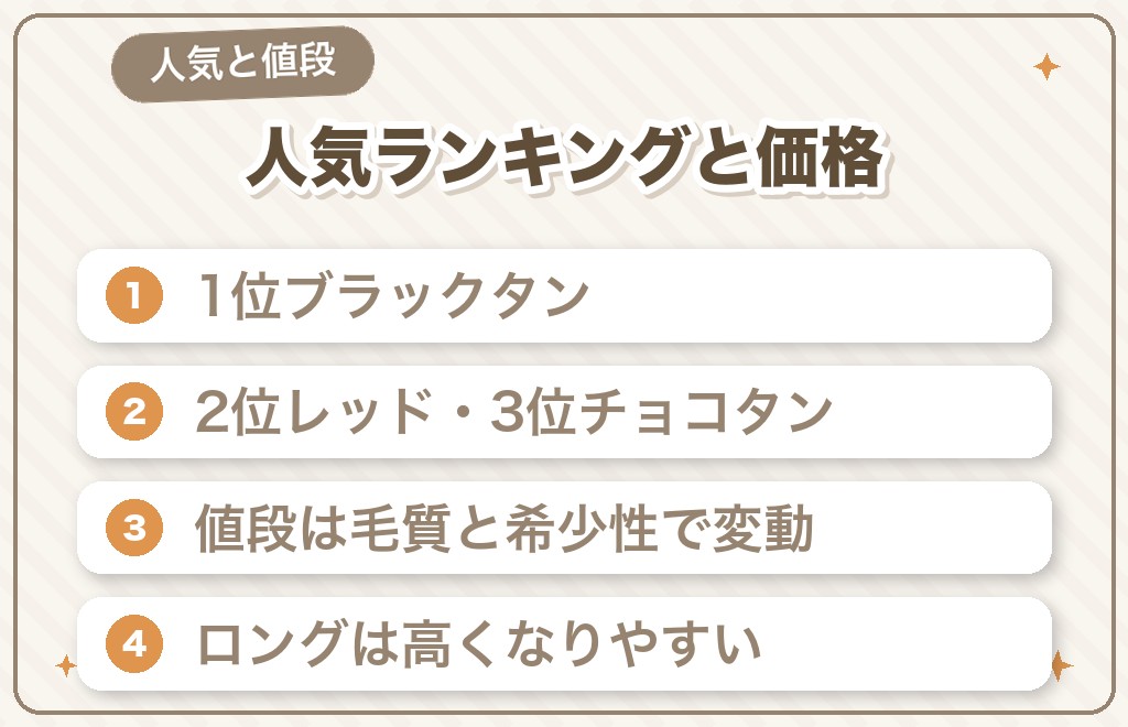 ミニチュアダックスの人気の毛色ランキングと値段の違い