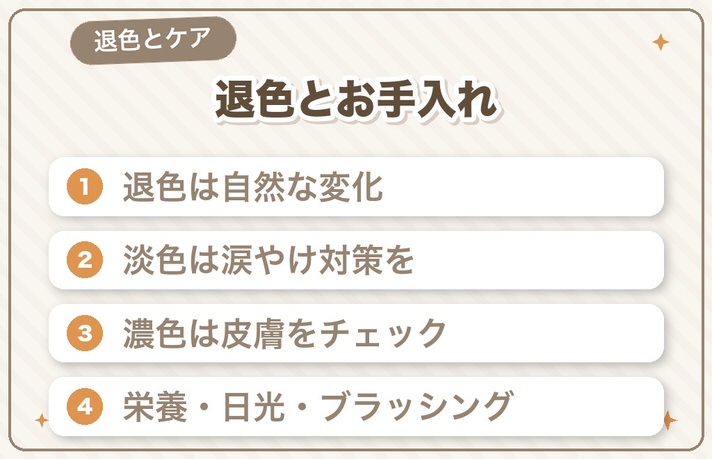 ミニチュアダックスの毛色は成長で変わる?退色とお手入れ