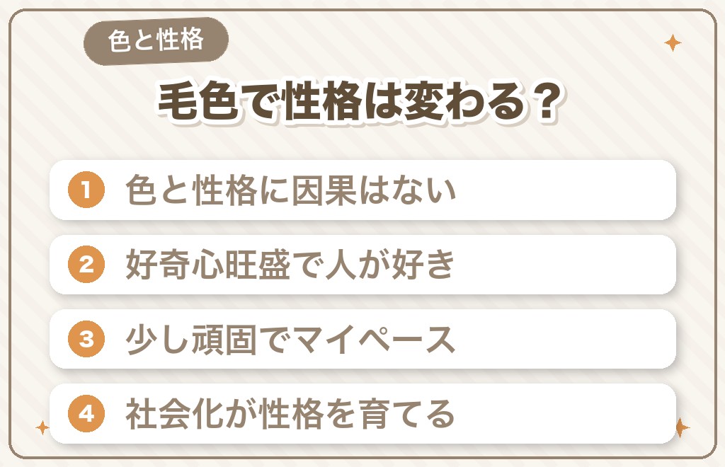 ミニチュアダックスの毛色で性格は変わるの?