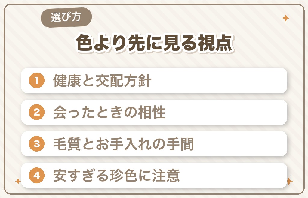 ミニチュアダックスの色を選ぶときの5つの視点