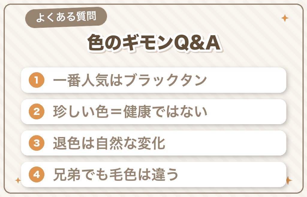 ミニチュアダックスの色に関するQ&A