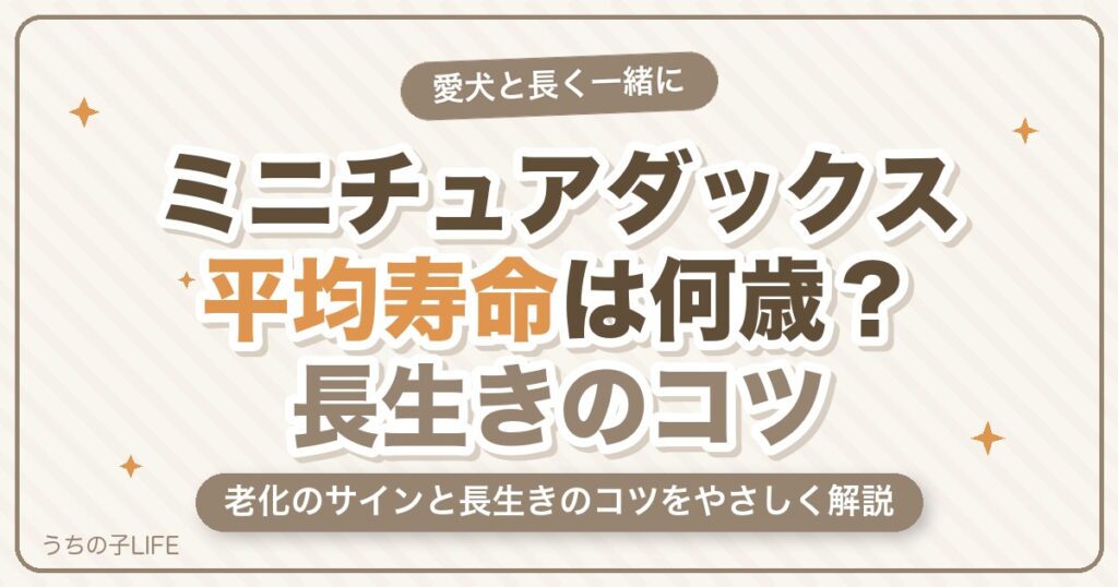 ミニチュアダックスの平均寿命は何歳？長生きのコツと老化のサイン