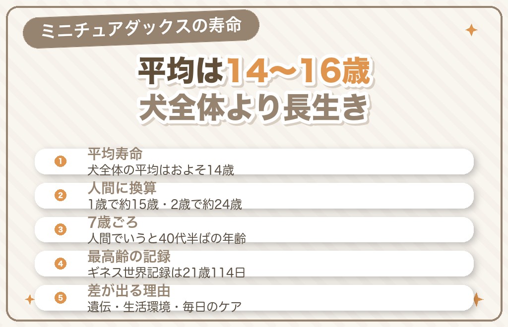 ミニチュアダックスの平均寿命は何歳？
