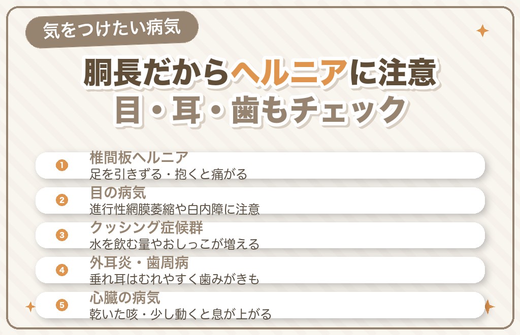 ミニチュアダックスがかかりやすい病気