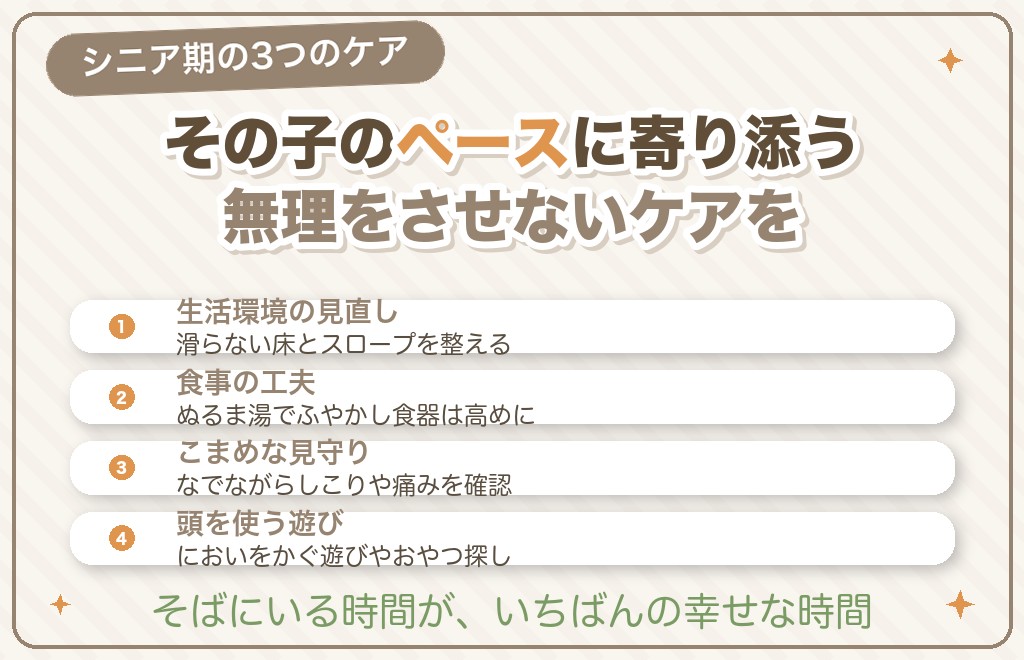 シニアのミニチュアダックスのケア方法