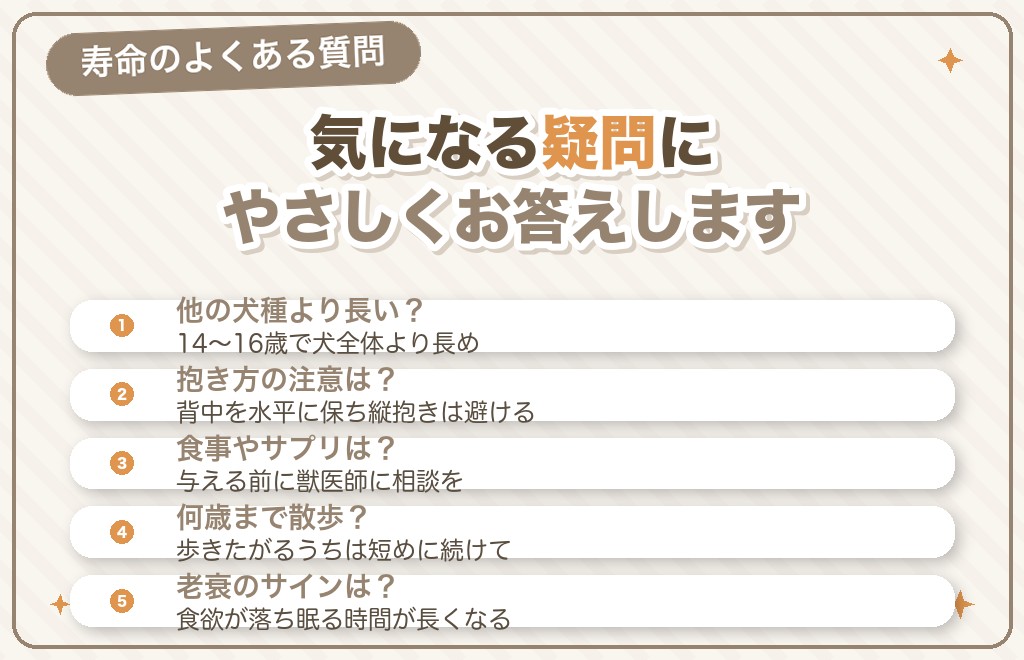 ミニチュアダックスの寿命に関するQ&A