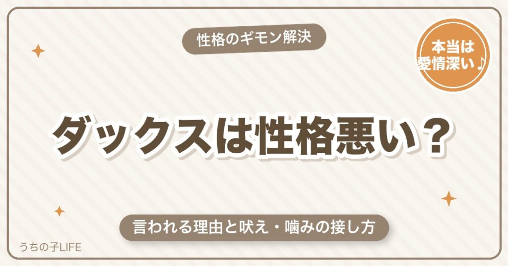 ミニチュアダックスは性格悪い？言われる理由と接し方